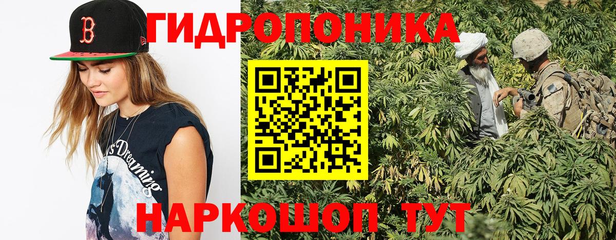 Конопля ГИДРОПОН  Бошки марихуана семена  Зерноград  Вход с VPN  Бошки марихуана MAZAR 